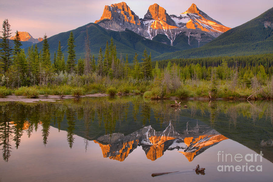 Three Sisters Driftwood Reflections Photograph by Adam Jewell