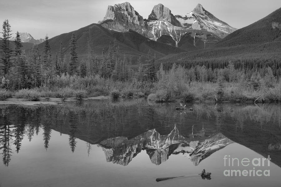 Three Sisters Driftwood Reflections Black And White Photograph by Adam Jewell