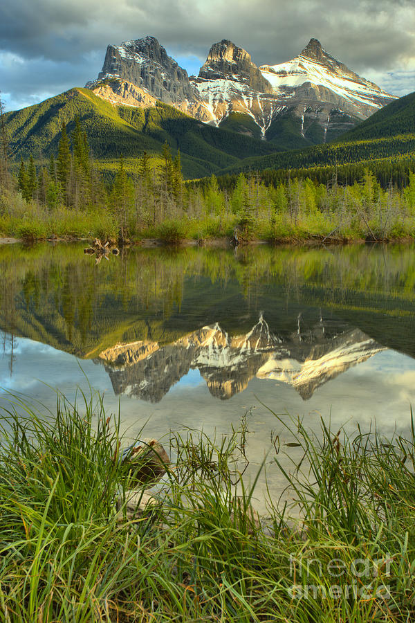 Three Sisters Grassy Reflection Portrait Photograph by Adam Jewell