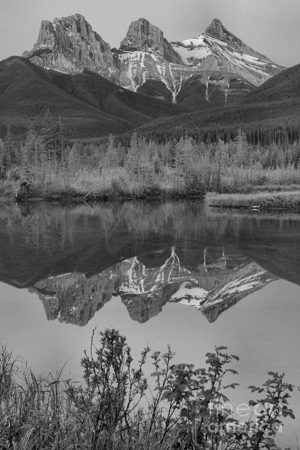Three Sisters Sunrise Spring Portrait Black And White Photograph by Adam Jewell
