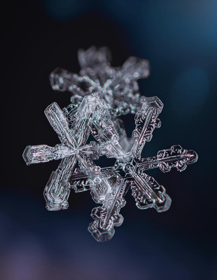 Three Snowflakes by Brian Caldwell Three Snowflakes by Brian Caldwell