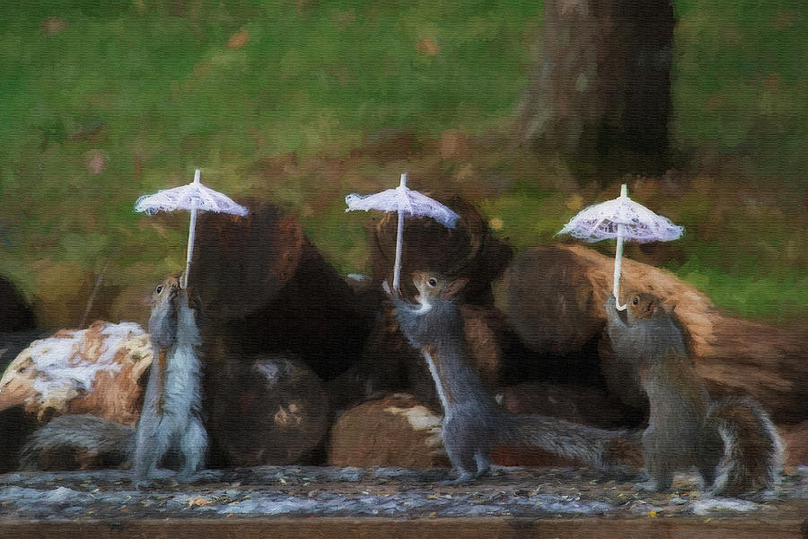 Three squirrels holding their umbrellas    paintography Photograph by Dan Friend