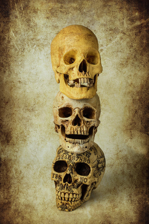Three Stacked Skulls Photograph by Garry Gay