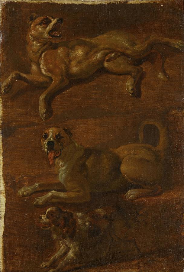 Dog Painting - Three Studies Of Dogs by Dutch School