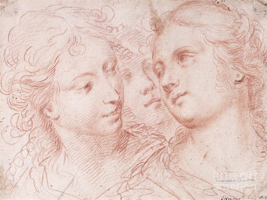 Three Studies Of Female Heads Drawing by Ercole Procaccini