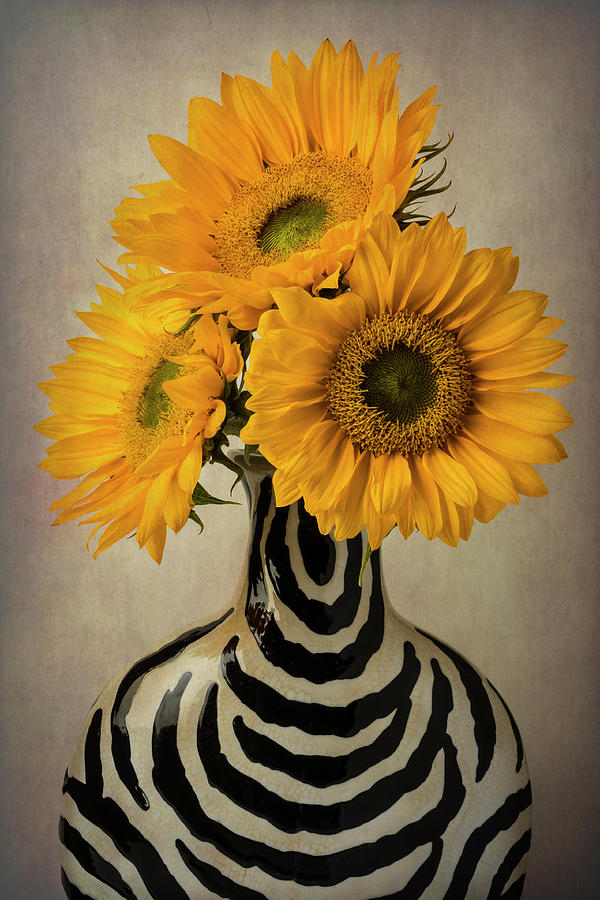 Three Sunflowers In Striped Vase Photograph by Garry Gay