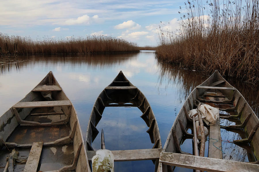 Three Sunken Boats Canoe In A Lagoon Photograph by Nima Karimi