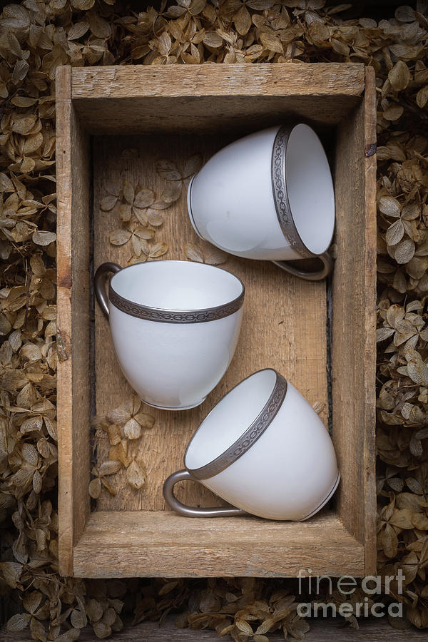 Three tea cups in a wooden box Photograph by Edward Fielding