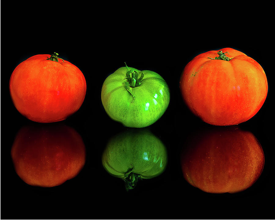 Three Tomatoes Photograph By Miguel Trujillo Fine Art America   Three Tomatoes Miguel Trujillo 