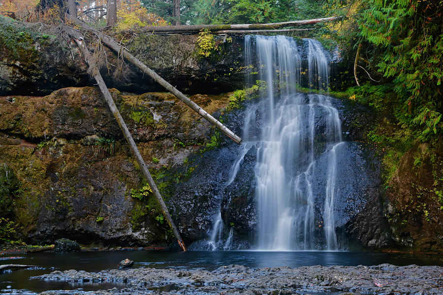 Waterfall Photograph - Three Trunk Waterfall by Susan Vizvary Photography Waterfall Photograph - Three Trunk Waterfall by Susan Vizvary Photography