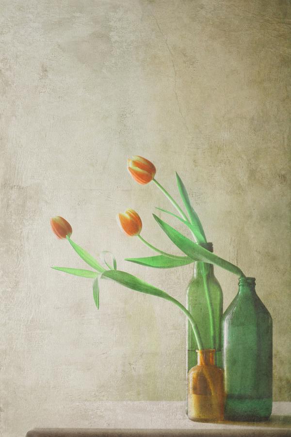 Three Tulips Photograph by Delphine Devos