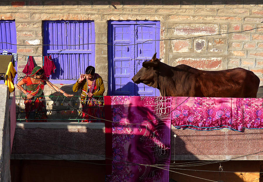 Three-way Conversation In Jodhpur Photograph by Giorgio Pizzocaro