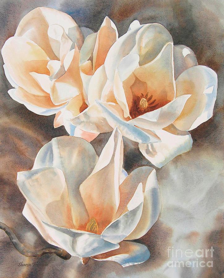Magnolia Movie Painting - Three White Magnolias by Sharon Freeman