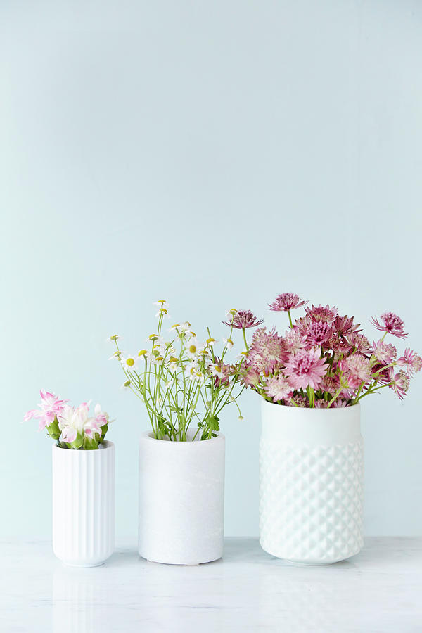 Three White Vases Of Pinks, Chamomile And Astrantias Photograph by Nicoline Olsen
