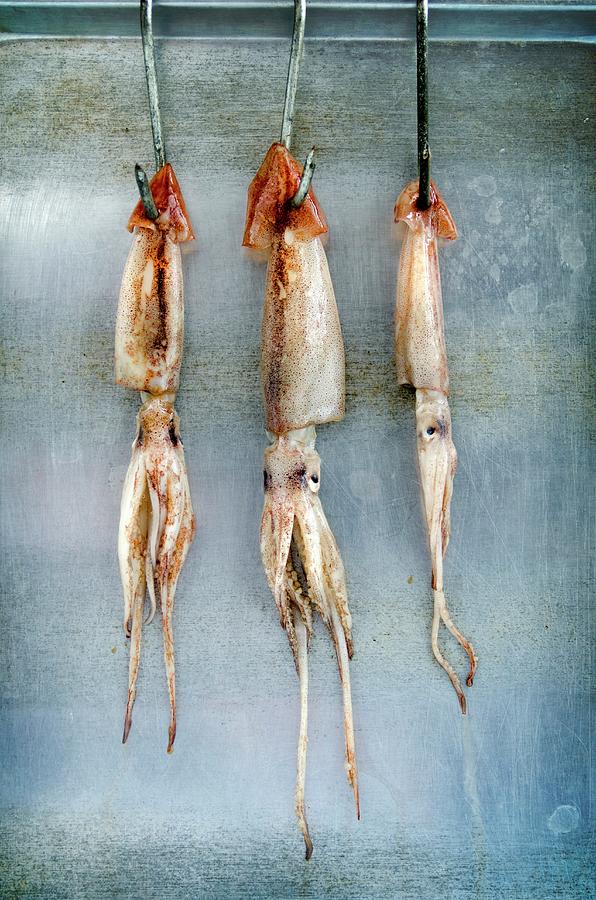 Three Whole Squid Hanging From Meat Hooks Photograph by Jamie