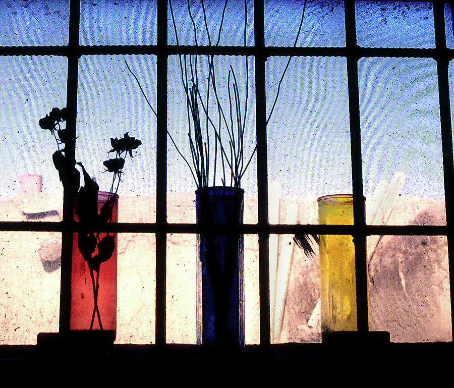 Three Window Vases Photograph by Bill Cain