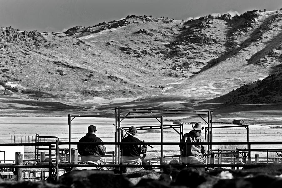 Three Working Cowboys  Photograph by Julieta Belmont