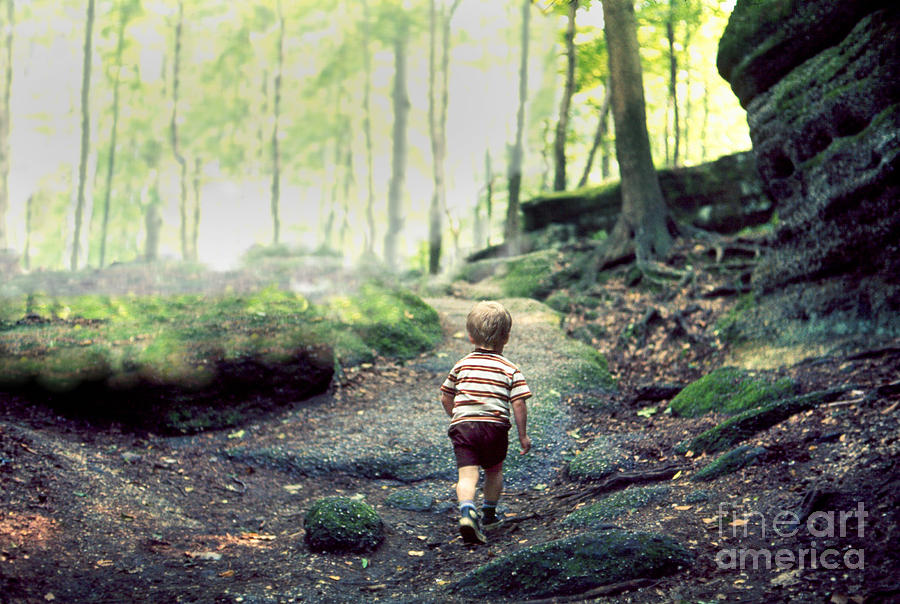 Three year old small boy child hiking alone on an uphill trail in a boulder strewn deciduous forest Photograph by Robert C Paulson Jr