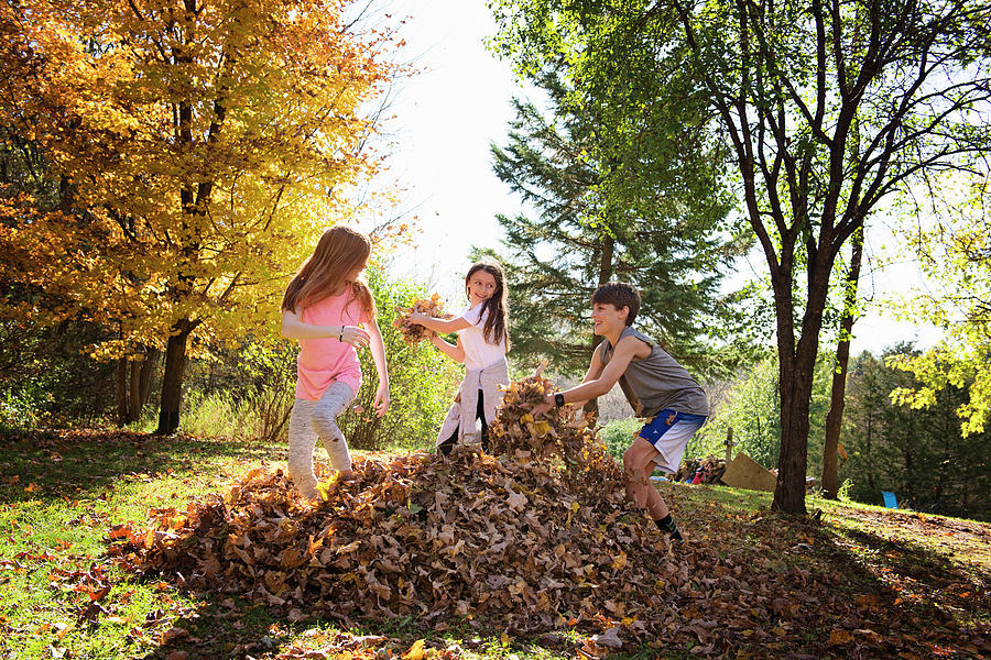 Three Young Children Playing In Fall Leaves Photograph by Cavan Images ...