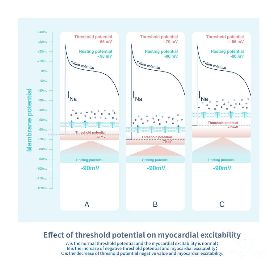 Threshold Potential Photograph by Chongqing Tumi Technology Ltd/science ...