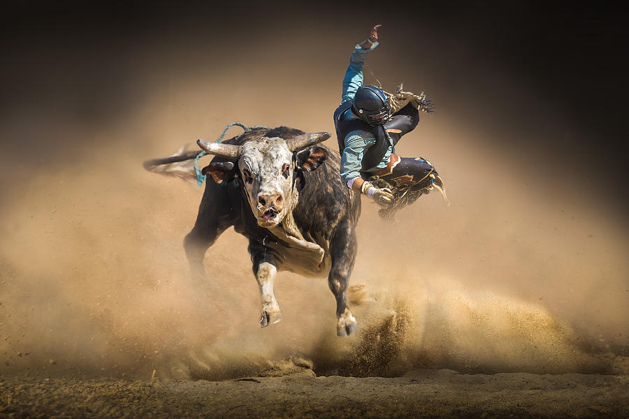 Thrilling Moment Photograph by Irene Wu - Fine Art America