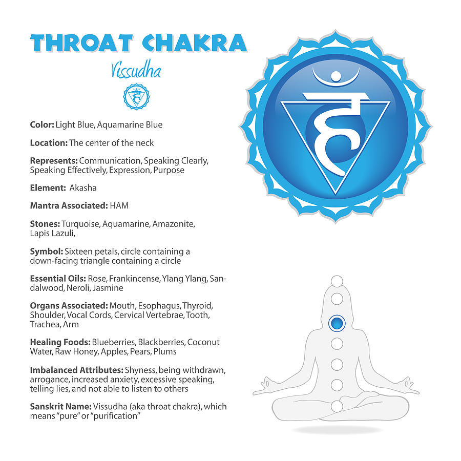 Throat Chakra Chart Digital Art by Serena King
