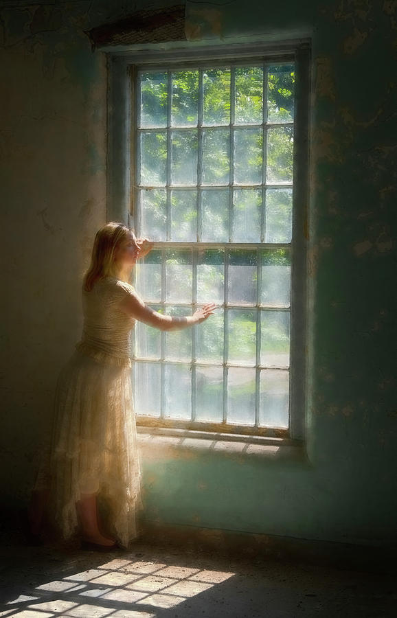 Through A Window Photograph by Tom Singleton