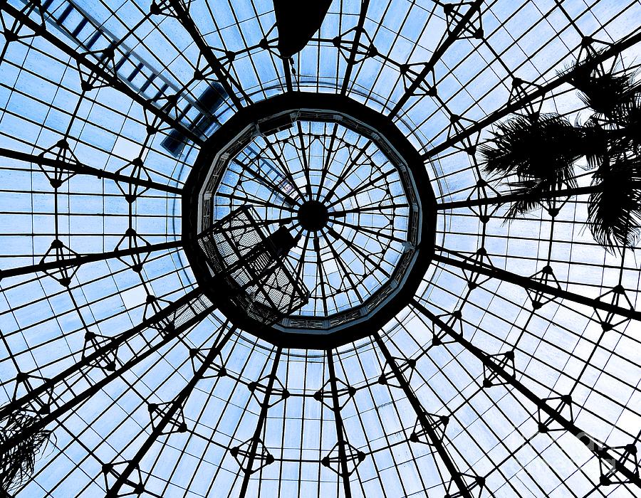 Glass Photograph - Through Glass Eyes by BlackXs Rose Glass Photograph - Through Glass Eyes by BlackXs Rose