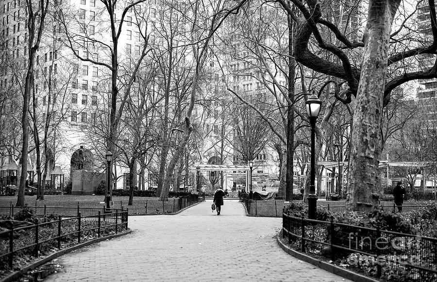 Through Madison Square Park New York City Photograph by John Rizzuto
