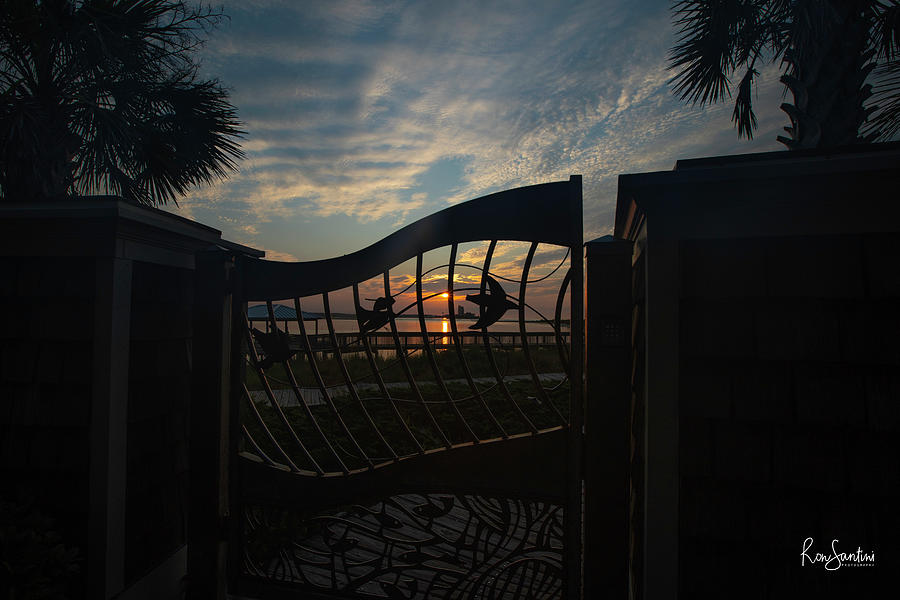 Through the Gate by Ronald Santini Through the Gate by Ronald Santini