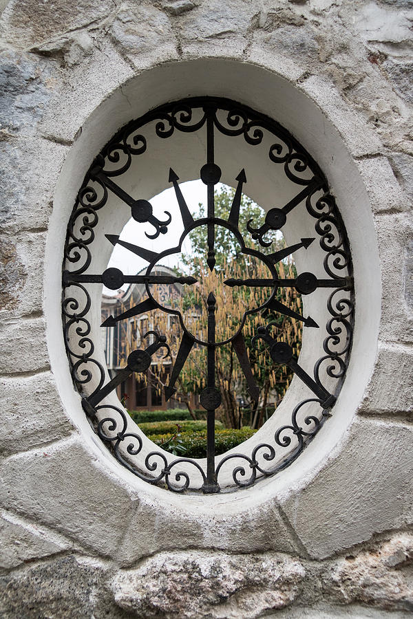 Through the Lacy Garden Window - Photograph by Georgia Mizuleva