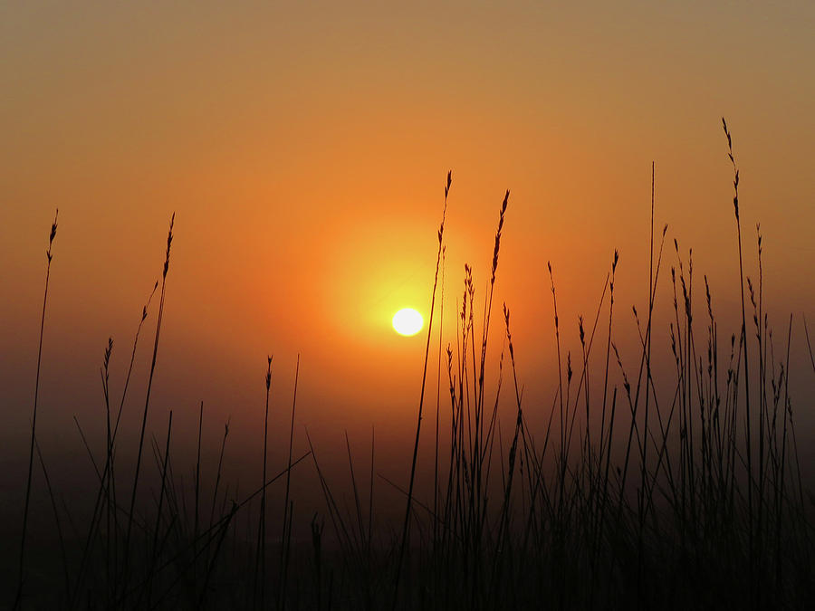 Through the Mist Photograph by Dianne Cowen Photography | Fine Art America