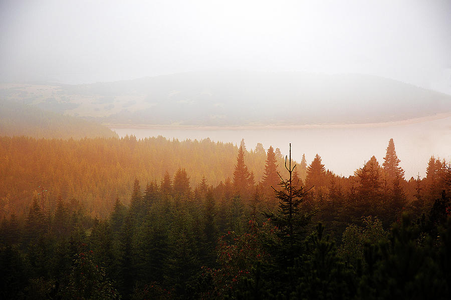Through the Mist Photograph by Milena Ilieva
