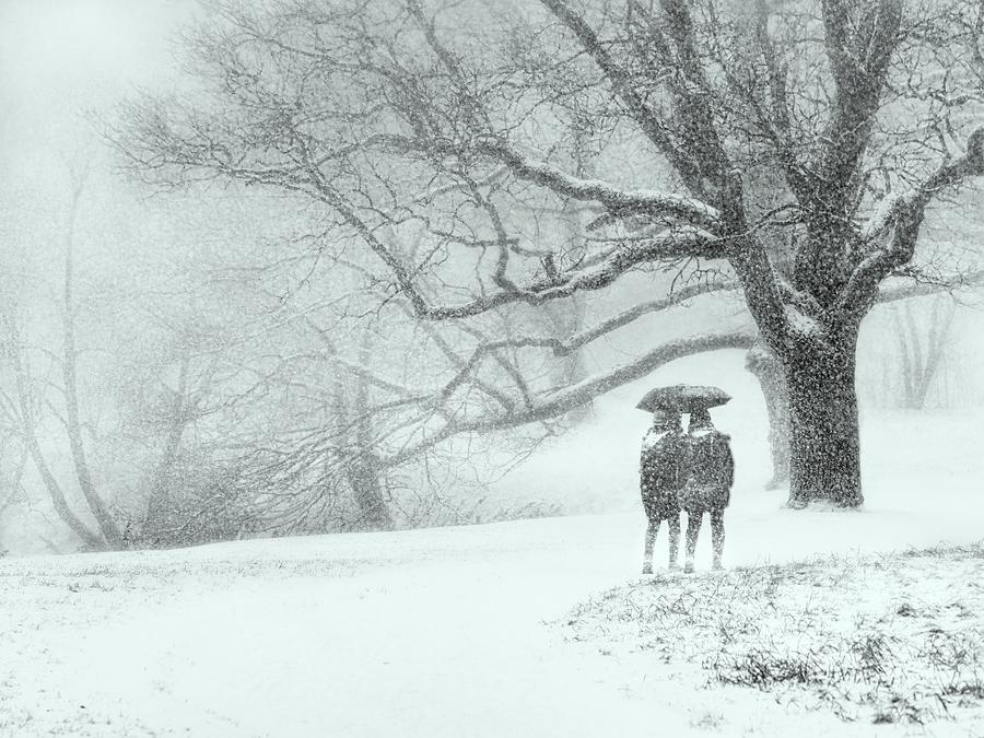 Through The Snowfall Photograph by Maxim Makunin