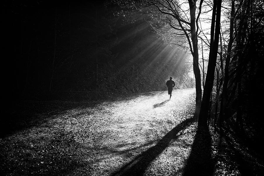 Tree Photograph - Through The Sun Rays by Jurij Bizjak