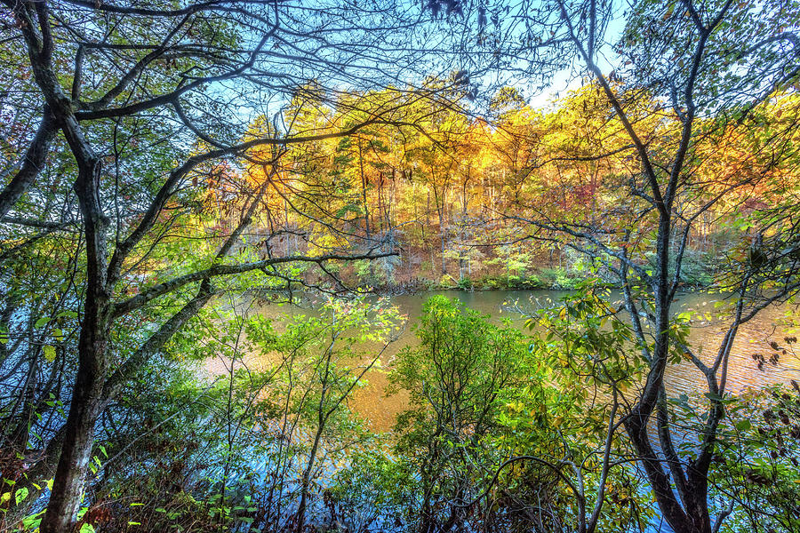 Through the Trees in Autumn Photograph by Debra and Dave Vanderlaan