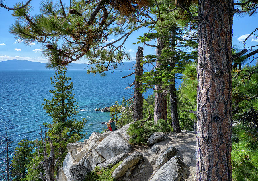 Through The Trees Lake Tahoe Nevada Photograph by Anthony Giammarino