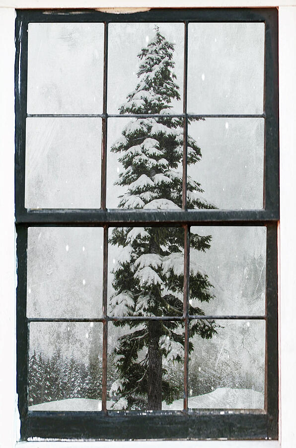 Through the Window Digital Art by Marilyn Wilson
