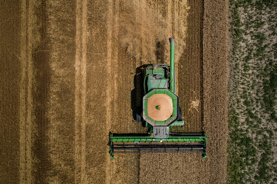 Through Wheat by Nick Smith Through Wheat by Nick Smith