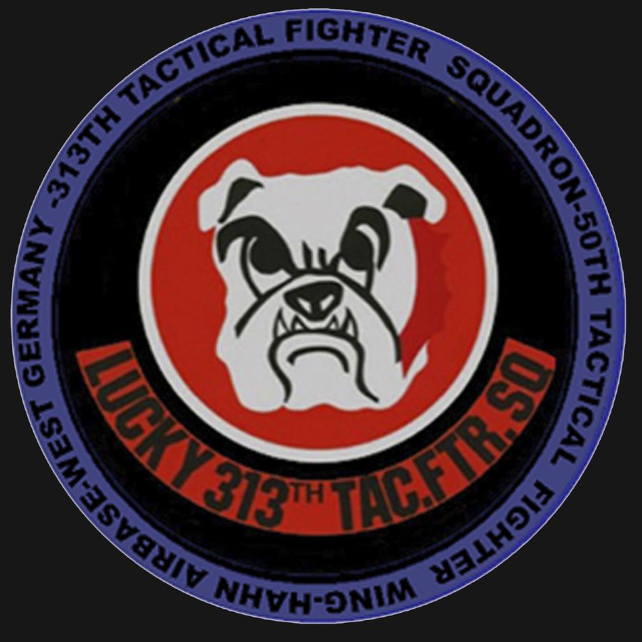 The 313th Tactical Fighter Squadron by Walter Chamberlain The 313th Tactical Fighter Squadron by Walter Chamberlain