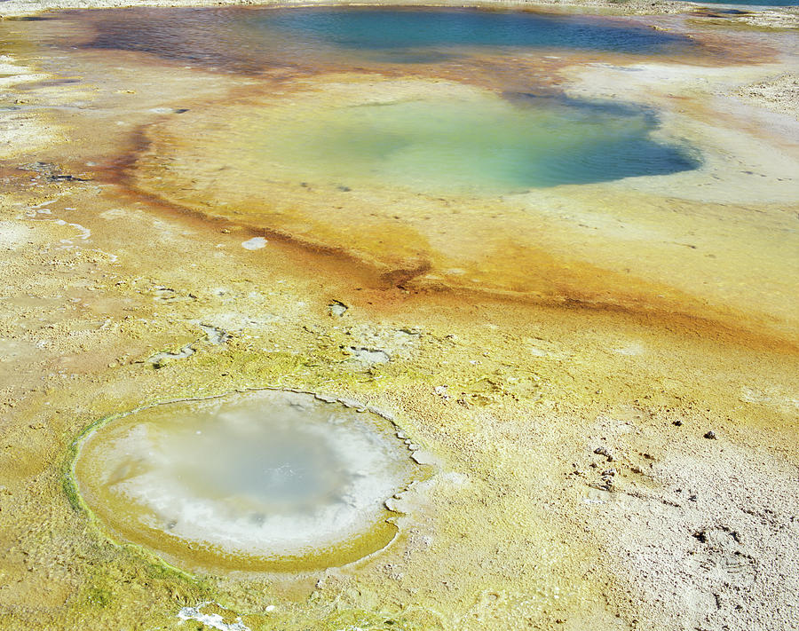 Thumb Geyser, Yellowstone National Photograph by Peter Haigh