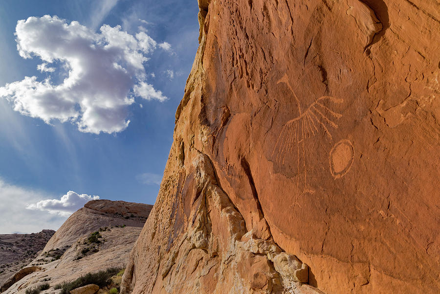 Thunderbird Petroglyph At Cedar Mesa Photograph by Jeff Foott
