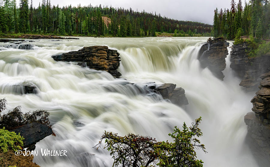 Thundering Athabasca Falls  Photograph by Joan Wallner