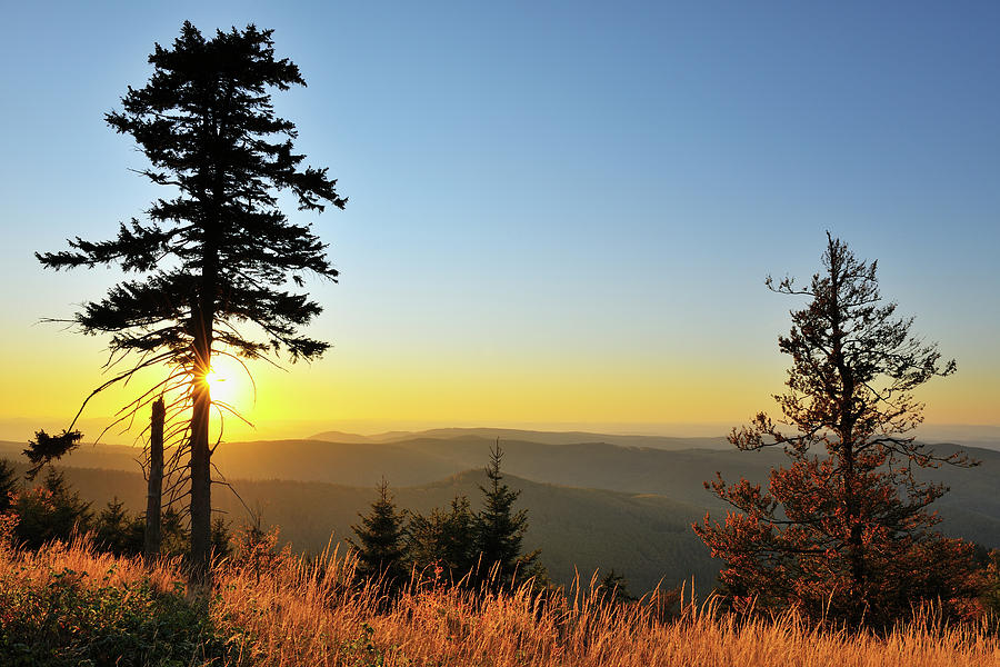Thuringian Forest At Sunset Photograph by Raimund Linke