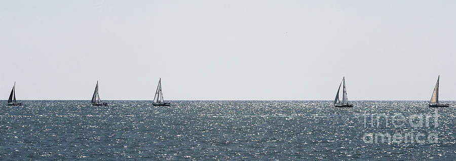 Thursday Beer Can Race Dana Point 1 Pano by Stefan H Unger Thursday Beer Can Race Dana Point 1 Pano by Stefan H Unger