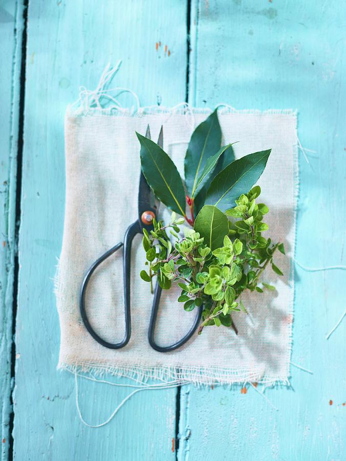 Thyme, Bay Leaves And A Pair Of Herb Scissors On A Light Blue Wooden Surface Photograph by Myles New