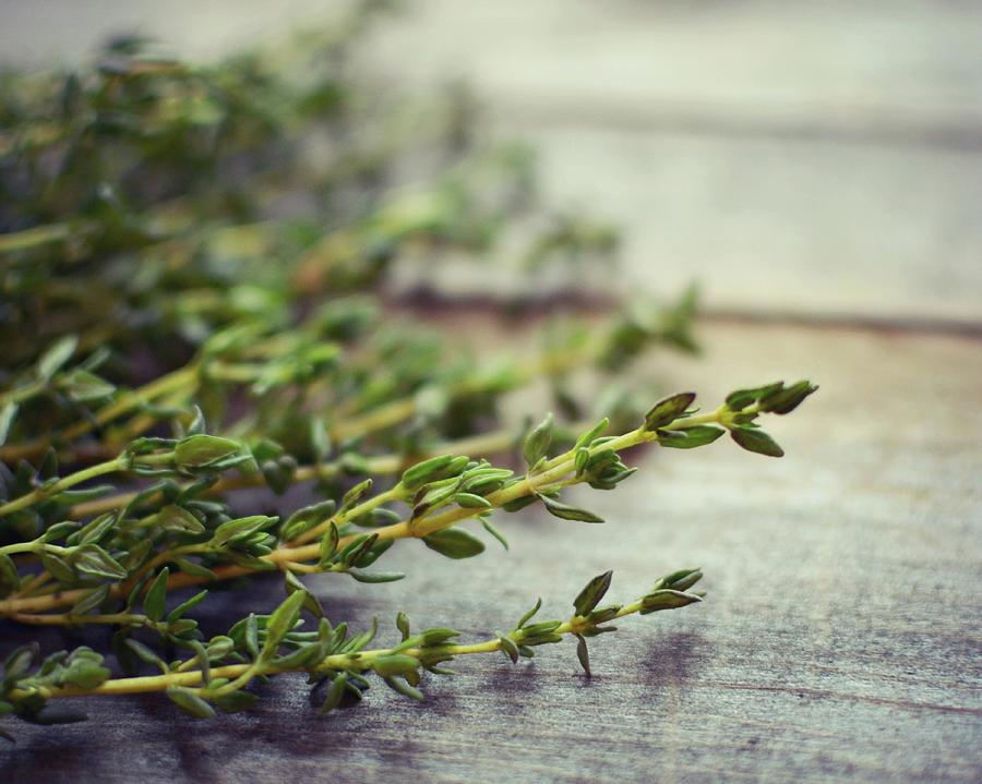 Thyme Photograph by Lupen Grainne