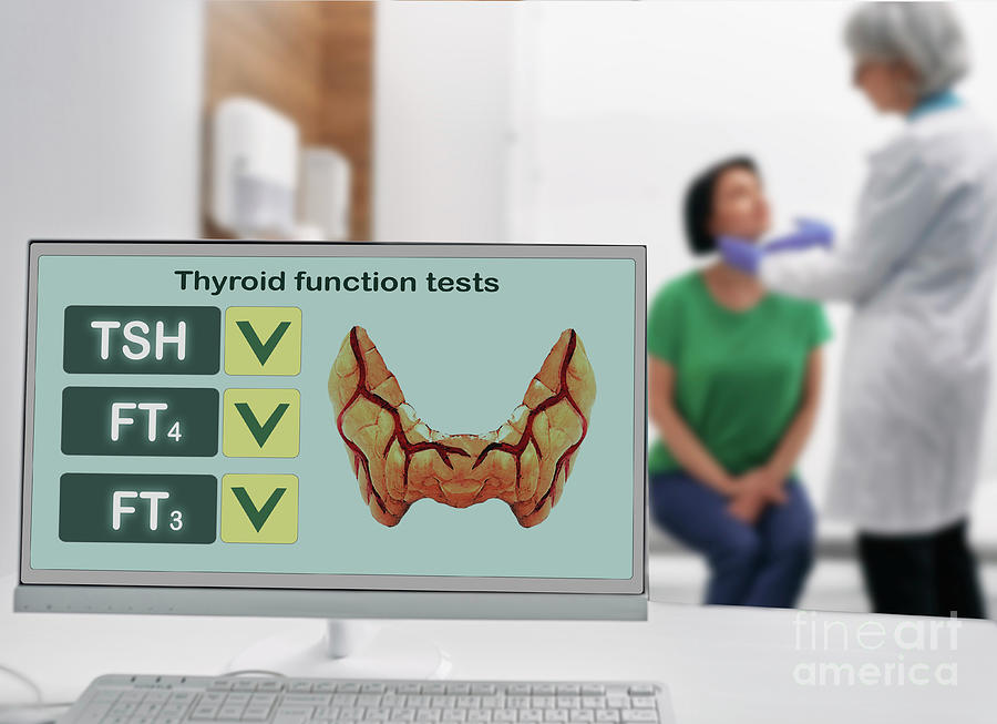 Thyroid Function Test Photograph By Peakstock / Science Photo Library ...