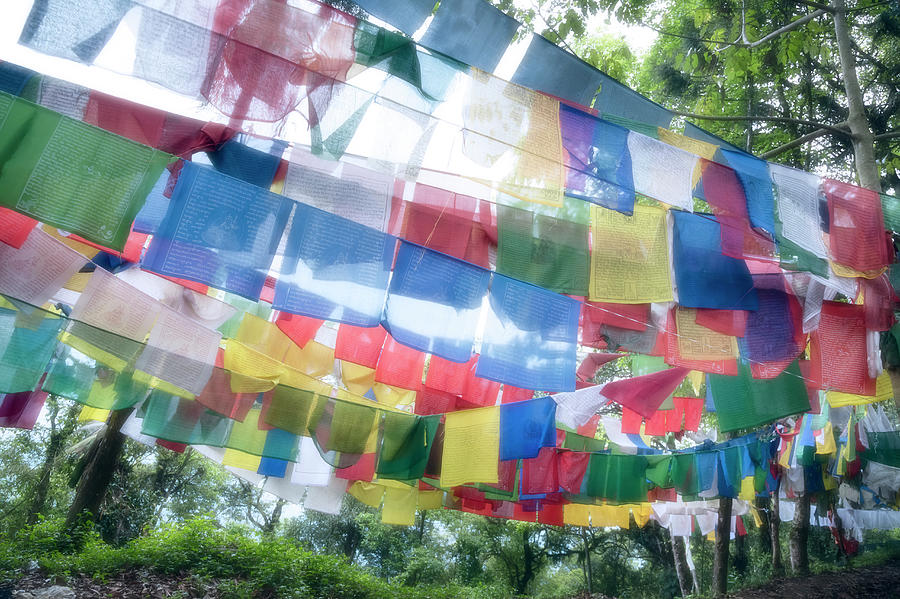 Tibetan Buddhist Prayer Flags Photograph by Glen Allison Tibetan Buddhist Prayer Flags Photograph by Glen Allison