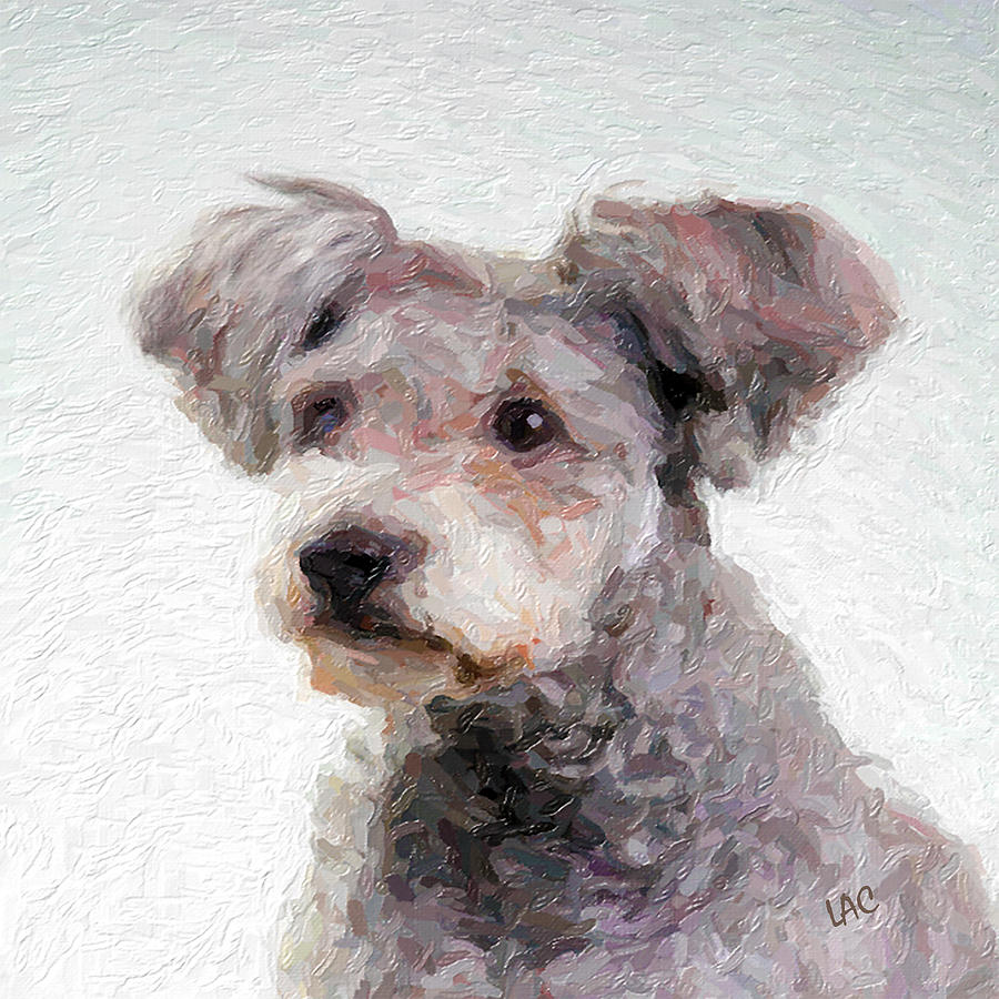 Tibor - Hungarian Pumi Painting by Doggy Lips